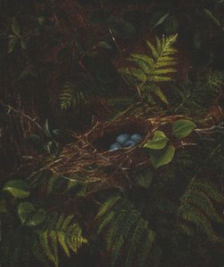 Madárfészek és páfrányok, 1863.
