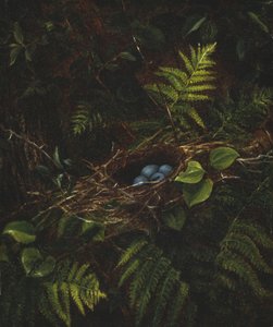Madárfészek és páfrányok, 1863