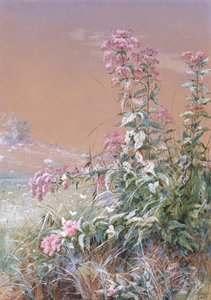 Név nélkül, 1876.