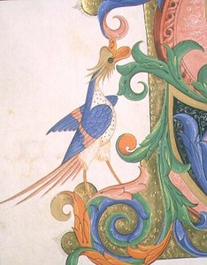 Mise 515 f.20v Fantasztikus madár, egy 1449 előtt készült kóruskönyv történeti iniciáléjának díszítésének részlete (vellum)
