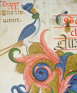 Missál 515 f.28v Fantasztikus madár emberi fejjel egy történetírással készült iniciálé sarkán, részlet az 1449 előtt készült kóruskönyvből. alkotó: Filippo di Matteo Torelli