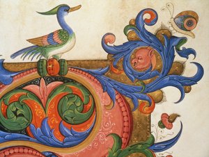Missal 515 f.92v Zoomorf lombozat kacsaszerű madárral és pillangóval, egy 1449 előtt készült kóruskönyv történeti iniciáléjának díszítésének részlete