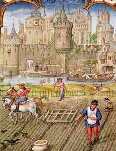 Fol.10v Október hónap: Vetés, a Breviarium Grimaniból, 1515 körül alkotó: Flemish School