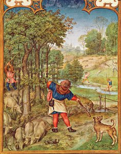 Fol.11v November hónap: Makk betakarítása a sertéseknek és vadászat, a Breviarium Grimani-ból, 1515 körül alkotó: Flemish School
