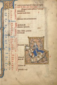 MS 14 f.5, május: Hawking, 1250 körül alkotó: Flemish School