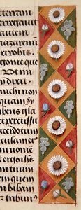 Ms. 1058-1975, f.16r: virágos szegély részlete egy Órakönyvből, 1500 körül (vellum) alkotó: Flemish School