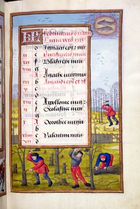 Ms 1058-1975 f2r Fák kivágása és köcsögök kötözése, megvilágított oldal februárra, egy Órakönyvből, 1500 körül alkotó: Flemish School