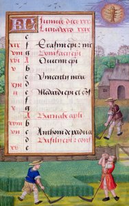 Ms 1058-1975 f6r Fűnyírás, illuminált naptárlap júniusra, egy Órakönyvből, 1500 körül (pergamen) alkotó: Flemish School