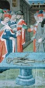 Ms Hunter 9 f.12v Dissection, a „De Medina Fen I. II., Avicenna (980-1037)” című művéből (vellum) alkotó: Flemish School