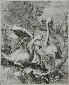 Old Master Metszet alkotó: Flemish School