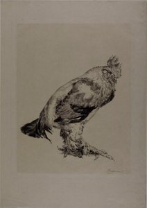 Az öreg kakas alkotó: Félix Henri Bracquemond