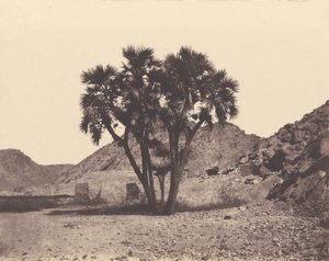 Egyiptom és Núbia. Helyszínek és műemlékek ... Atlas Photographer ... Második rész. Núbia alkotó: Félix Teynard
