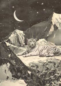 Óriás fehér tigris a hegyekben