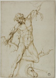 Marsyas fához kötözve alkotó: Follower of Baccio Bandinelli