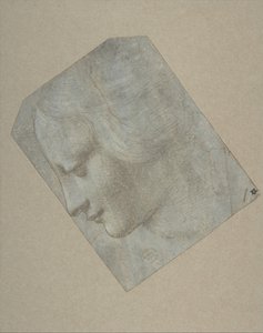Egy nő feje balra néző profilban, 1490-1500. alkotó: Follower of Leonardo da Vinci.
