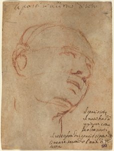 Egy ember feje alkotó: Follower of Michelangelo