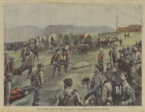 A búrok segítenek a briteknek elmozdítani halottaikat a csatatérről