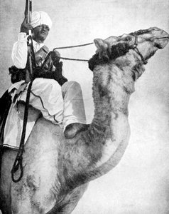 Afrika sivatagi harcosa, 1936. alkotó: Fox Photos