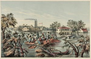 High Water in the Mississippi, pub.1868 alkotó: Frances Flora Bond Palmer