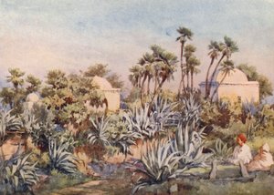 Sidi Noumann Koubba, Bouzareah (színes litográfia)