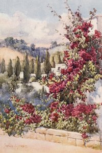 Az erkélyemen, Algír (színes litográfia) alkotó: Frances Nesbitt