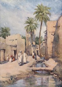 Biskra oázisa, Algéria