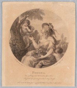 Pomona alkotó: Francesco Bartolozzi
