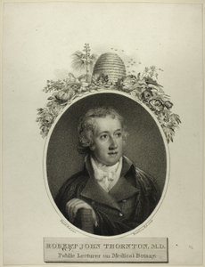 R. J. Thornton alkotó: Francesco Bartolozzi