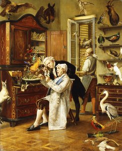 A taxidermista,