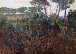 Fenyőerdők Torre del Lago-ban alkotó: Francesco Fanelli