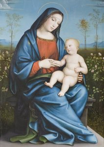 Madonna és gyermeke a rózsakertben, Raibolini Francesco Francesco Francia néven (olaj, tábla)