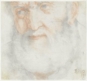 Egy szakállas öregember feje alkotó: Francesco Furini (attributed to)