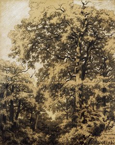 Fontainebleau-i erdő alkotó: Francesco Gamba
