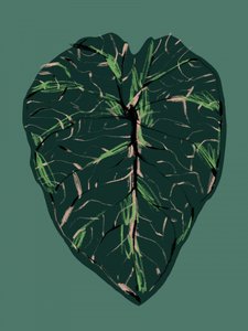  alkotó: Francesco Gulina