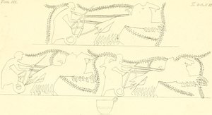 INGHIRAMI(1835) Fictile Vázák festményei Vol3 T212 (14598189190) alkotó: Francesco Inghirami