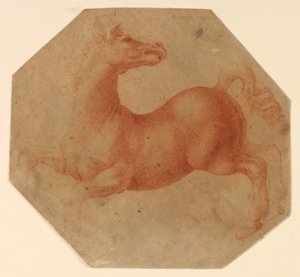 Tanulmány egy tenyészlóról Leonardo da Vinci után