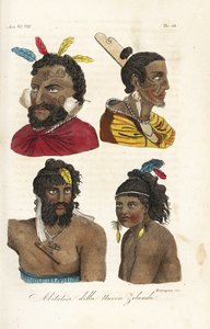 Maori harcosok, új-zélandi férfiak és fiúk portréi arctetoválással és tollakkal a hajukban. Francesco Rosaspina által vésett, kézzel festett réztábla William Hodges és Piron nyomán Giulio Ferrario Minden ember ősi és modern viseletéből