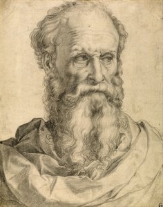 Egy szakállas férfi feje és vállai alkotó: Francesco Salviati