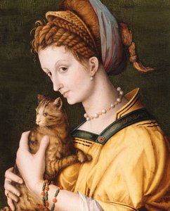 Hölgy macskával, 1525-30 körül