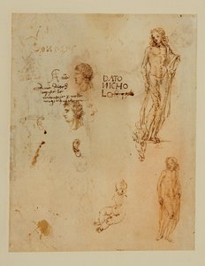 Három profil;fülek;két Apolló ... alkotó: Francesco di Simone (attr. to)