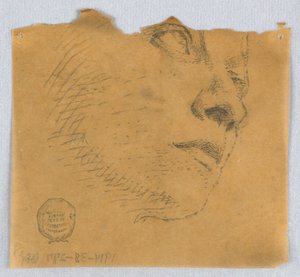 Részleges vázlat egy arcról alkotó: Francis Augustus Lathrop