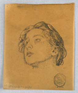 Vázlat egy női fejről alkotó: Francis Augustus Lathrop