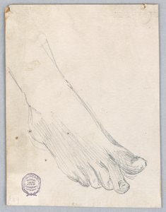 A jobb láb tanulmányozása alkotó: Francis Augustus Lathrop