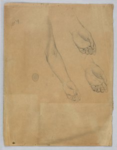Három tanulmány a bal kézről alkotó: Francis Augustus Lathrop
