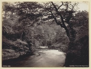 Ivy Bridge, kilátás a Prysor folyóra alkotó: Francis Bedford