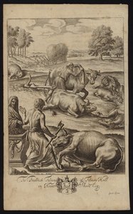 Szarvasmarha pestis
