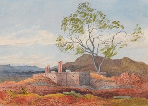 Rom Agoolában, Tigre