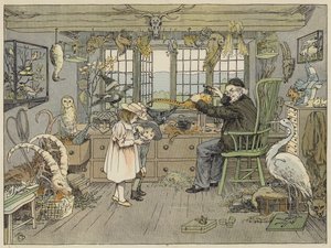 Bird-Stuffer (színes litográfia) alkotó: Francis Donkin Bedford