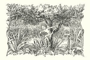Merrie England: Robin Goodfellow (litográfia) alkotó: Francis Donkin Bedford