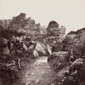 Brimham sziklái, Yorkshire alkotó: Francis Frith